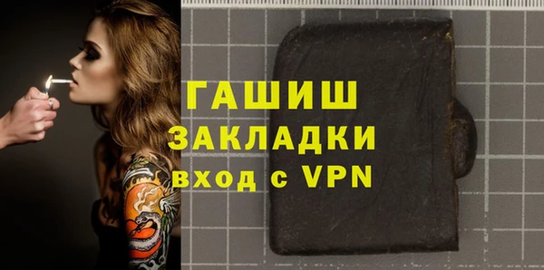 прущие грибы Новосибирск