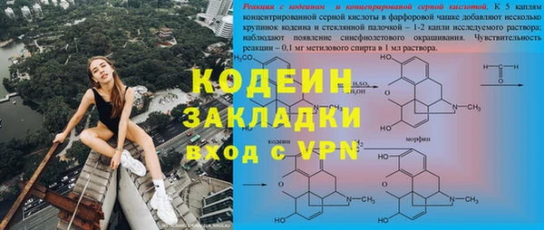 прущие грибы Новосибирск