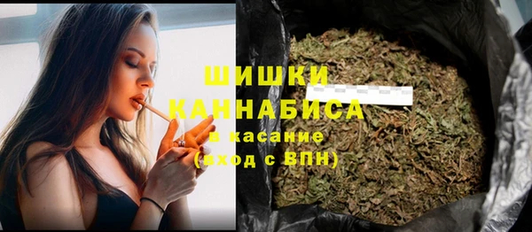 ГАЛЛЮЦИНОГЕННЫЕ ГРИБЫ Ессентукская