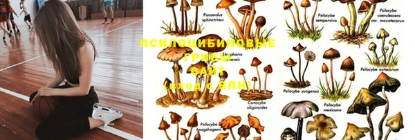 apvp Ладушкин