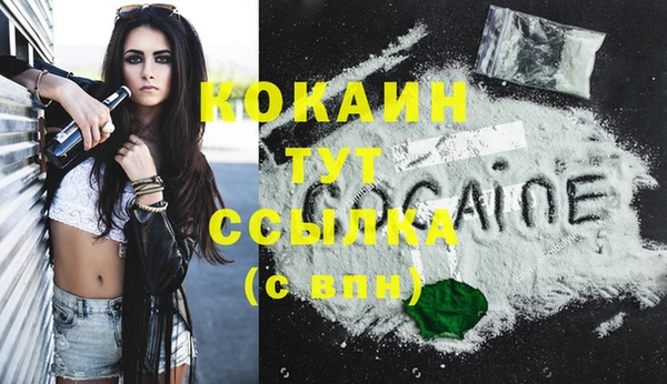 трава Санкт-Петербург