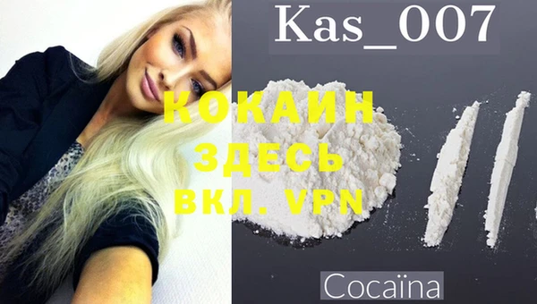 прущие грибы Новосибирск