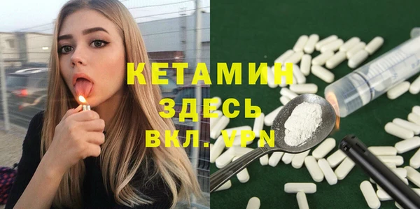 прущие грибы Новосибирск