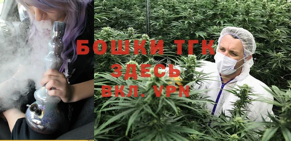 прущие грибы Новосибирск