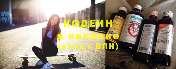 прущие грибы Новосибирск