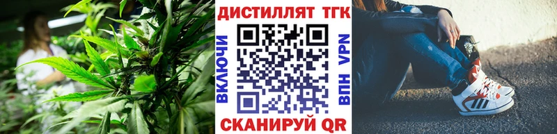 mega зеркало  купить наркотики цена  Чебоксары  Дистиллят ТГК гашишное масло 