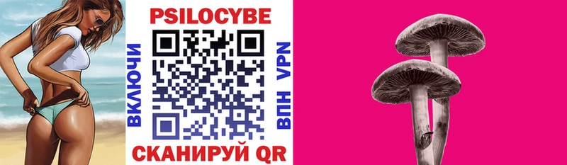 где купить наркоту  Чебоксары  Псилоцибиновые грибы ЛСД 