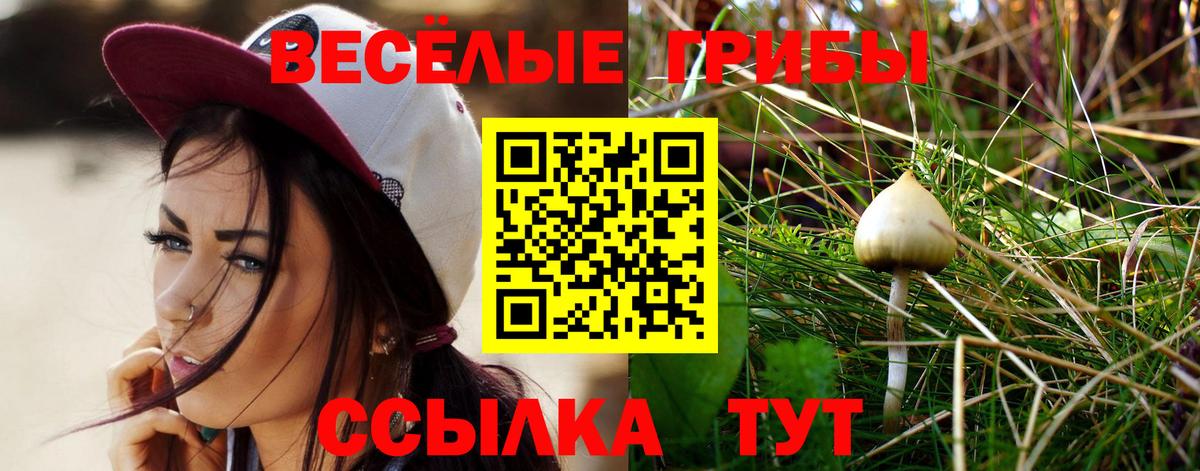 Галлюциногенные грибы прущие грибы Чебоксары