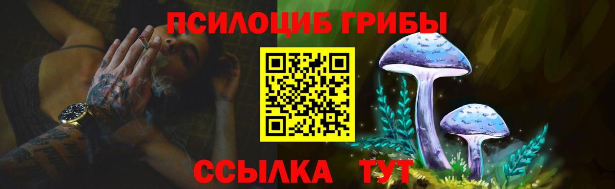 Чебоксары  Галлюциногенные грибы прущие грибы  Вход с VPN 
